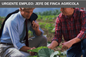 URGENTE EMPLEO: JEFE DE FINCA AGRÍCOLA