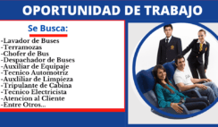 Oportunidad de Trabajo Para Empresa De Transportes Cruz del Sur